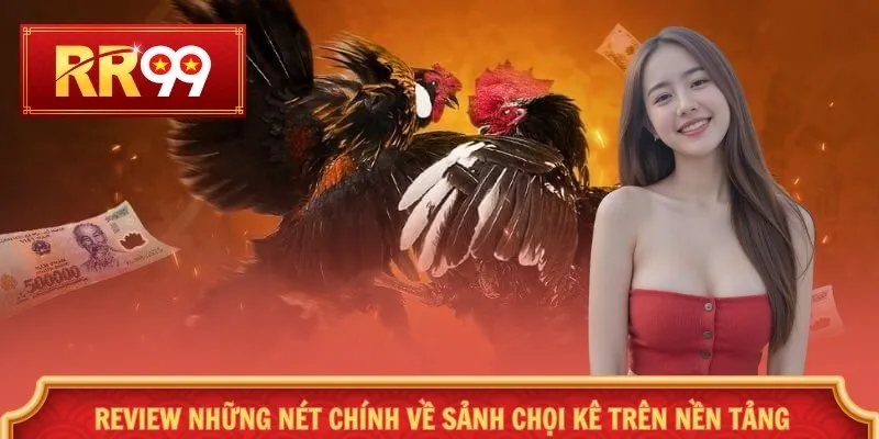 Review những nét chính về sảnh chọi kê trên nền tảng